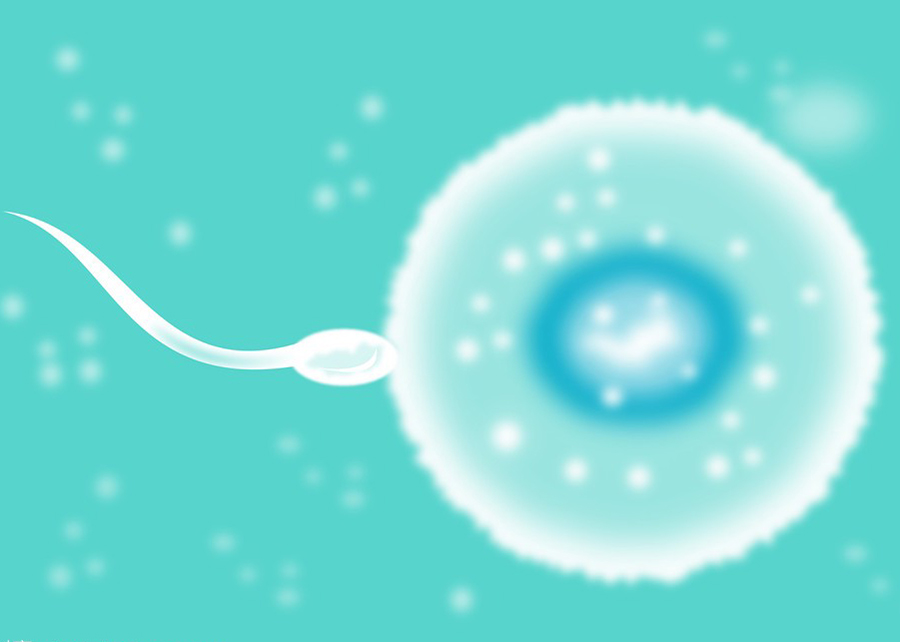 萍乡医院做亲子鉴定所需的生物检材有些什么,萍乡医院做DNA亲子鉴定出结果时间