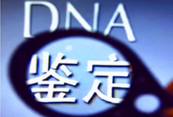 牡丹江司法DNA鉴定资料和流程(详细地址)，牡丹江司法DNA亲子鉴定哪里做