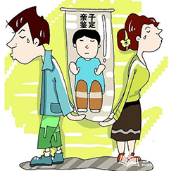 营口隐私DNA亲子鉴定办理的流程，营口个人亲子鉴定多少钱的费用