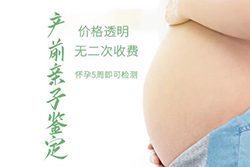 鹤壁怀孕15周怎么做无创胎儿亲子鉴定，鹤壁做无创产前亲子鉴定大概收费