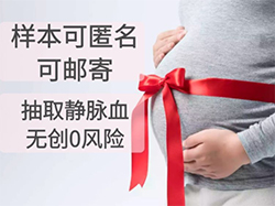 金普新区亲子鉴定机构在什么地方，金普新区亲子鉴定如何办理