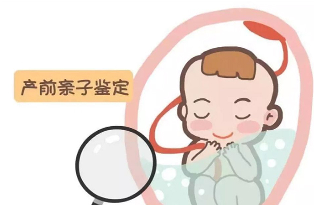 山西省怀孕了需要怎么做亲子鉴定,山西省怀孕做亲子鉴定需要什么手续