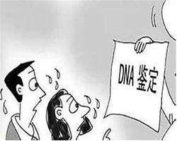 临汾上户口血缘检测要怎么做
