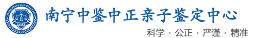 中鉴中正鉴定中心