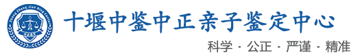中鉴中正鉴定中心