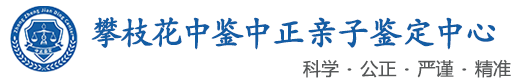 中鉴中正鉴定中心